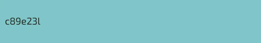 c89e23l