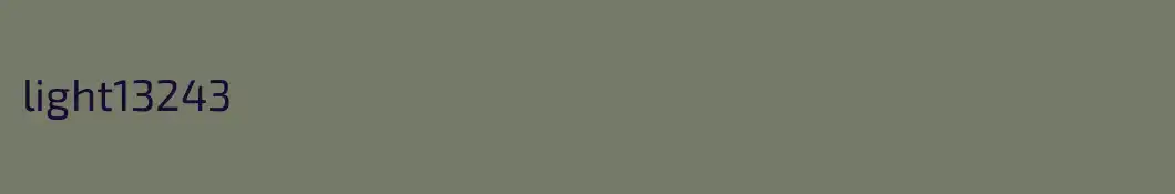 light13243