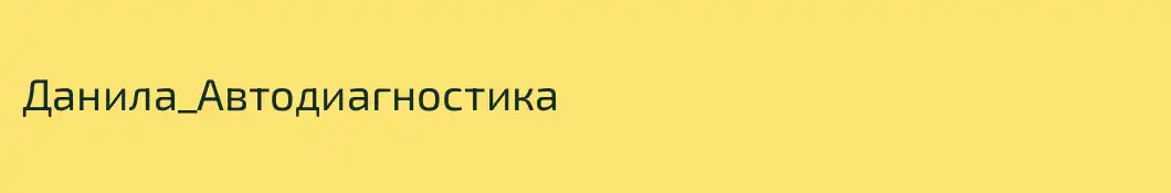 Данила_Автодиагностика
