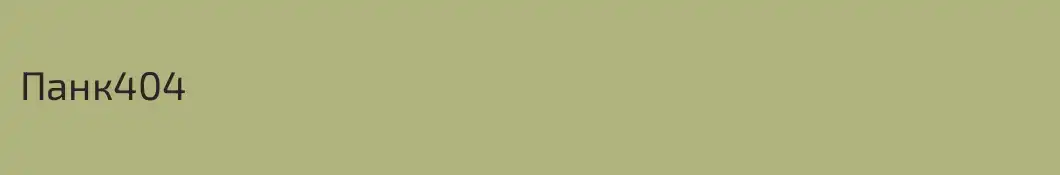 Панк404