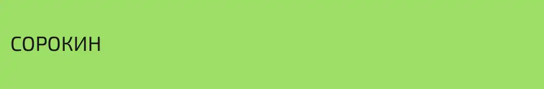 СОРОКИН