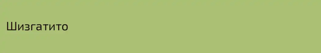 Шизгатито