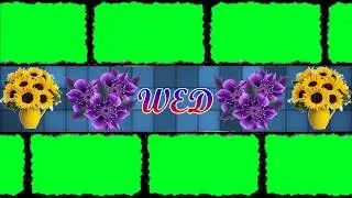 wedding intro green screen | Wedding intro without text | wdding green screen | ab green vfx