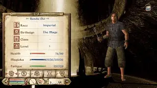 Oblivion: How to Integer Overflow Magicka with Bendu Olo