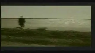 SFAKIANAKIS-O aetos