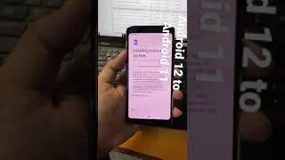 Android 12 beta to Android 11 stable