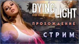 DYING LIGHT The Following Прохождение / DYING LIGHT The Following СТРИМ