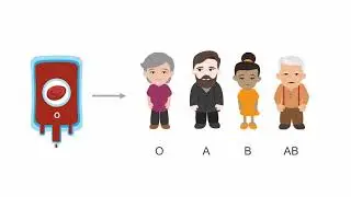 Red Blood Cell Compatibility: Decision Making