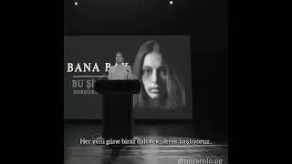Kadına şiddete hayır.