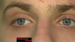Шайка закладчиков обезврежена