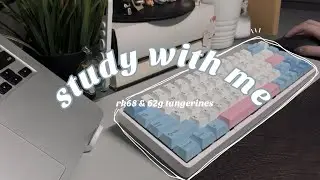💎✨study with me | 1h real time mechanical keyboard typing asmr | no music w/ rk68 & 62g tangerines