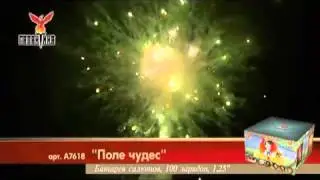 Салют Поле Чудес (А7618) 100 зарядов,50 сек.
