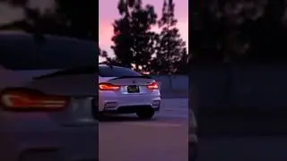 BMW 💙 scromna legendary 🦅