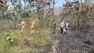 Kemarau, Kebakaran Hutan dan Lahan di Bojonegoro Meningkat