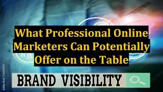 What Professional Online Marketers Can Potentially Offer on the Table