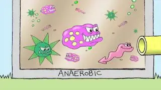Primary treatment of sewage and anaerobic treatment of sludge