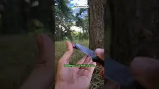 ЧЕМ ПРАВИТЬ НОЖ В ЛЕСУ?!НЕДОРОГОЙ МУСАТ С ЯНДЕКС МАРКЕТА #бушкрафт #bushcraft #выживание