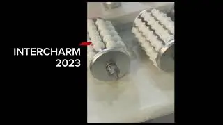 27 октября 2023 г.