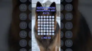 Найди число которого нет. #172. Упражнение на внимательность. #Shorts