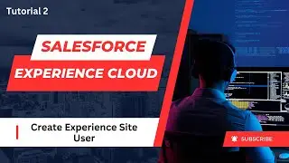 2. Enable Customer User Using CRM (Hindi) | Create Customer/Partner For Salesforce Experience Cloud