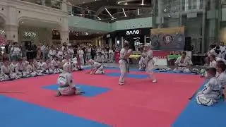 Клуб Араши Карате 