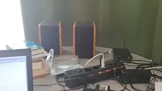 Звук маленьких полочников