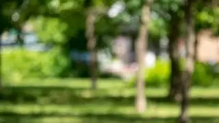 Find Your Multipliers - Video Waypoint