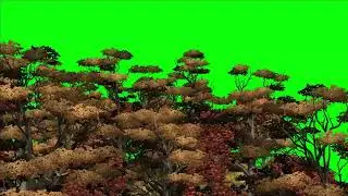 Tree green screen video, Green screen tree, tree green screen effect kinemaster, P-6
