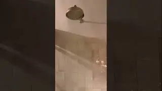 Moaning shower