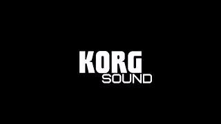 Рома Жуков-Пыль мечты KORG PA900