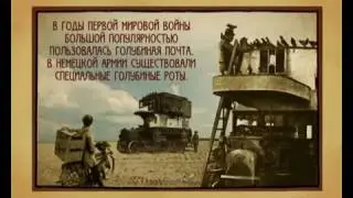 100 лет Первой мировой войне  Голубиная почта   Телеканал История