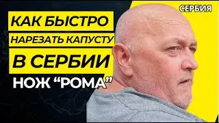 Чудо Нож для капусты 