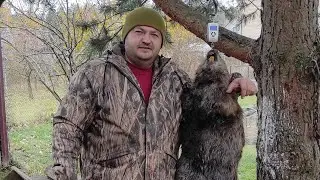 №113 Охота на бобра. Достойный бобр. Установка проходного капкана КП 250. Фильмы про охоту.