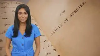 Asal usul manusia menurut Teori Evolusi.