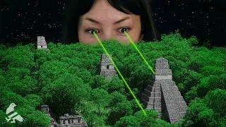 The forest was full of cities we couldn’t see