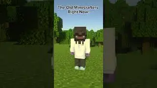 The Old Minecrafters About the New Items | 
