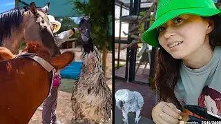 Maya visits the pasture & parrots and things get HECTIC at Alveus