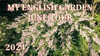 June in Flower Tour - My English Garden  - 2024