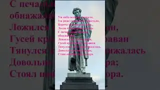 #стихи