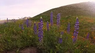 The Freedom to Roam episode 18 California