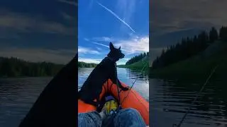 С псом на пакрафте смотрим время