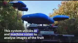 🍎 AI-Powered Agriculture: The Future of Sustainable Farming to Feed a Growing Population 🌾
