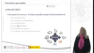 Los sistemas operativos ¿Qué son?