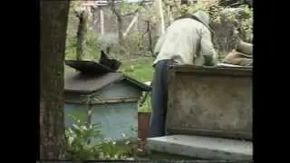 Moldova Штубияны Соседи