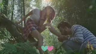 New WhatsApp Status Video