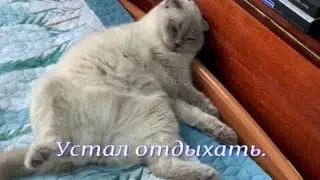 Устал отдыхать