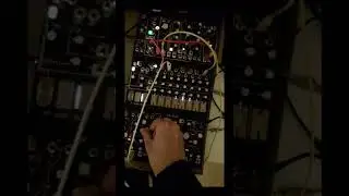 Strega / 0-Coast / O-Ctrl _ not for the neighborhood