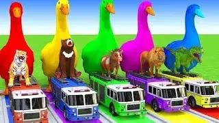 5 Giant Duck Cartoon,Cow,Elephant,Tiger,Lion,Dinosaur,Paint Wild Animals Crossing Fountain Animation