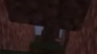 Minecraft Has Gone Too Far