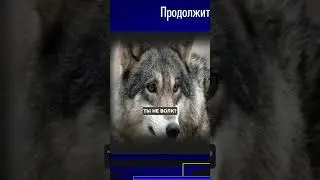 Понимая Жизнь, Ты – Волк, а Не Понимая ...